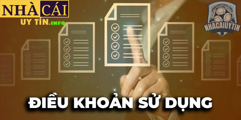 Các lời khuyên của bạn về Điều khoản sử dụng nhà cái uy tín