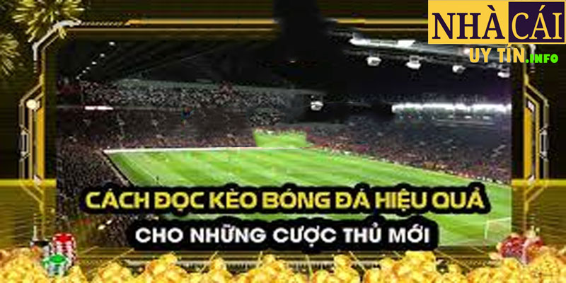 Giới thiệu về nhà cái bóng đá FCB8